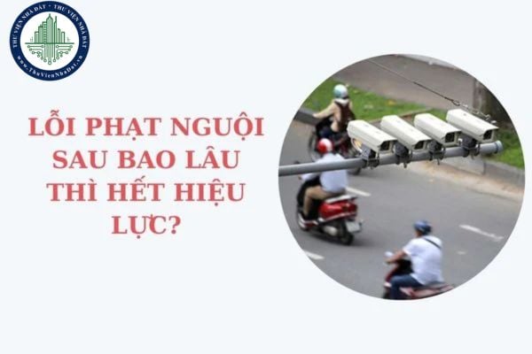 Lỗi phạt nguội sau bao lâu thì hết hiệu lực? Lỗi phạt nguội khi nào có thông báo? Hướng dẫn Tra cứu phạt nguội?