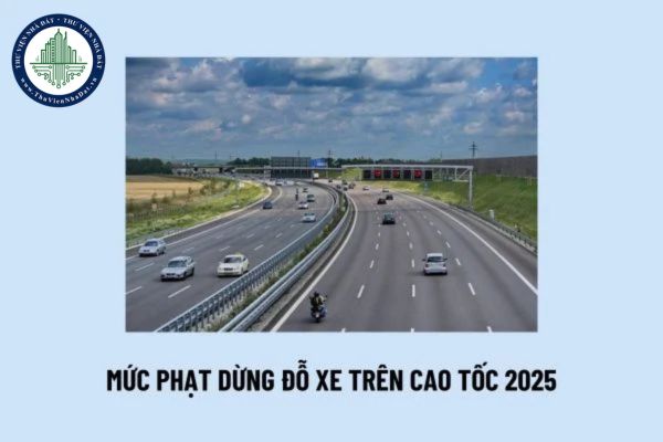 Mức phạt dừng đỗ xe trên cao tốc 2025? Lỗi dừng đỗ xe trên đường cao tốc không đúng nơi quy định?