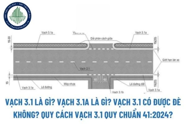 Vạch 3.1 là gì? Vạch 3.1a là gì? Vạch 3.1 có được đè không? Quy cách vạch 3.1 Quy chuẩn 41:2024/BGTVT? 