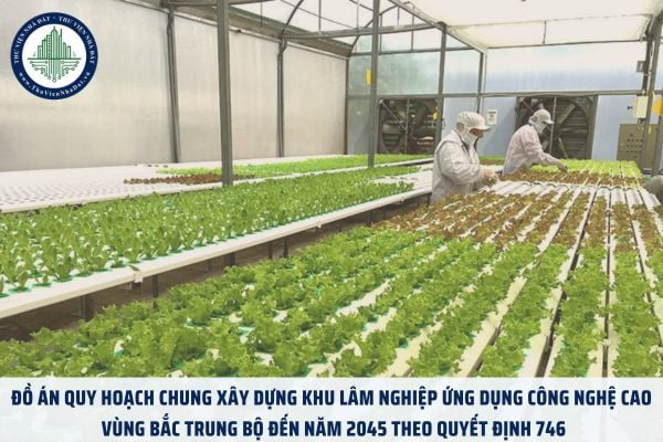 Đồ án quy hoạch chung xây dựng khu lâm nghiệp ứng dụng công nghệ cao vùng Bắc Trung Bộ đến năm 2045 theo Quyết định 746