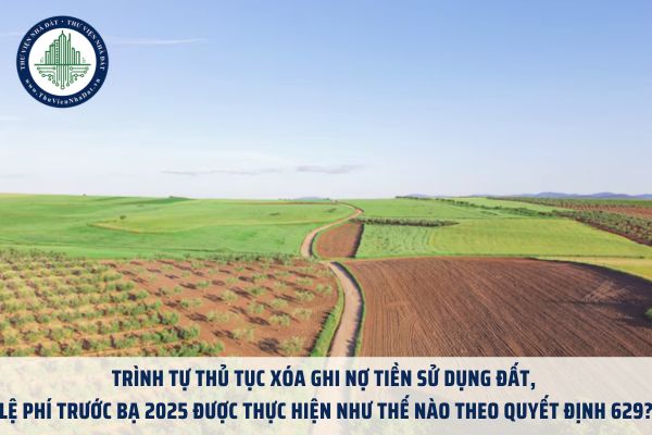 Trình tự thủ tục xóa ghi nợ tiền sử dụng đất, lệ phí trước bạ 2025 được thực hiện như thế nào theo Quyết định 629?