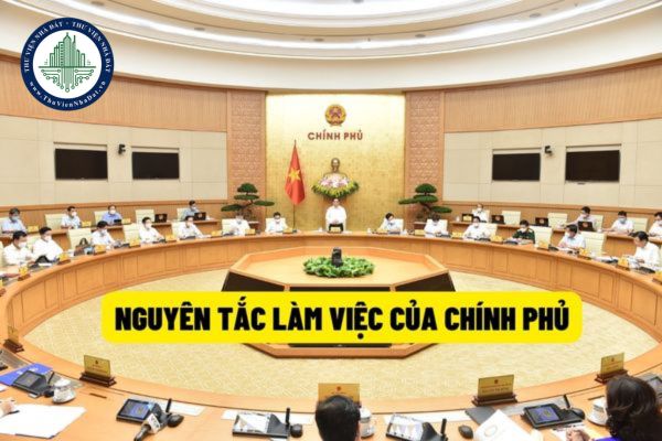Bổ sung quy định tuân thủ kỷ luật, kỷ cương hành chính vào nguyên tắc làm viêc của Chính Phủ từ 18/6/2022?