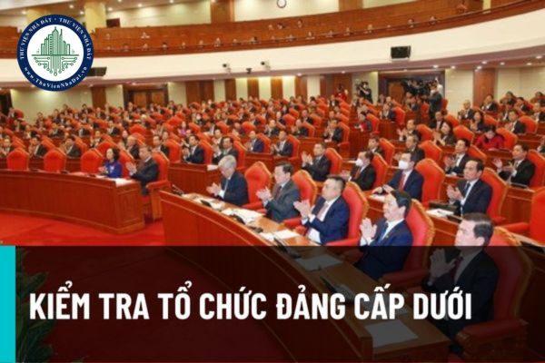 Các bước kiểm tra tổ chức đảng cấp dưới thực hiện nhiệm vụ kiểm tra, giám sát và thi hành kỷ luật đảng năm 2022?