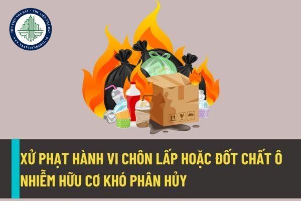 Chôn lắp hoặc đốt chất ô nhiễm hữu cơ khó phân hủy trái quy định sẽ bị phạt lên đến 1 tỷ đồng từ 25/8/2022?