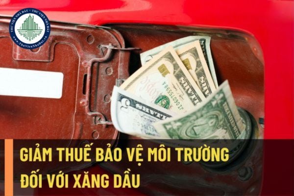Giảm thuế bảo vệ môi trường đối với xăng dầu xuống còn 1.000 đồng trên/lít kể từ ngày 11/7/2022?