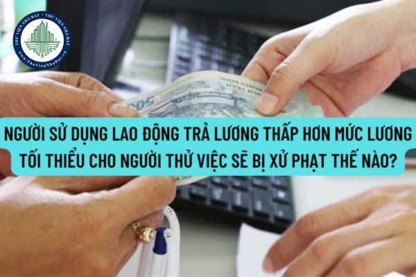 Người sử dụng lao động trả lương thấp hơn mức lương tối thiểu cho người thử việc sẽ bị xử phạt thế nào?