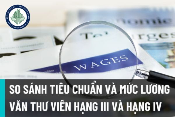 So sánh tiêu chuẩn và hệ số lương của viên chức thư viện hạng IV và viên chức thư viện hạng III áp dụng từ 15/8/2022?