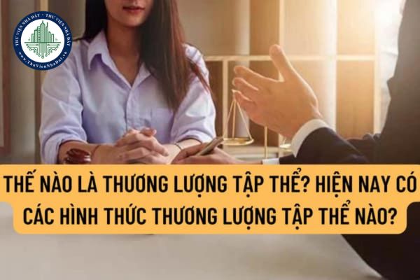 Thế nào là thương lượng tập thể? Hiện nay có các hình thức thương lượng tập thể nào? Thành phần của Hội đồng thương lượng tập thể bao gồm những ai?
