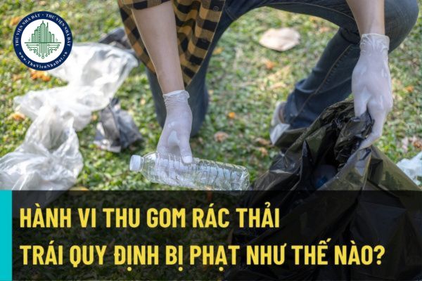 Thu gom, thải rác thải trái quy định về bảo vệ môi trường bị xử phạt như thế nào? Đi vệ sinh không đúng nơi quy định có bị phạt không?