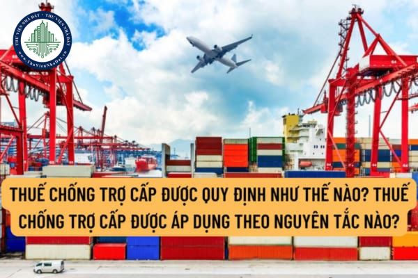Thuế chống trợ cấp được quy định như thế nào? Thuế chống trợ cấp được áp dụng theo nguyên tắc nào?