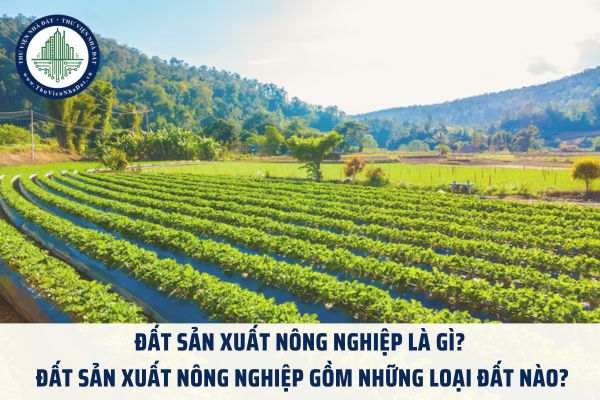 Đất sản xuất nông nghiệp là gì? Đất sản xuất nông nghiệp gồm những loại đất nào?
