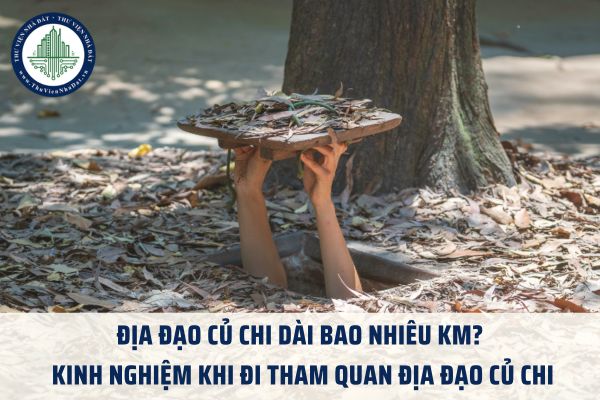 Địa đạo Củ Chi dài bao nhiêu km? Kinh nghiệm khi đi tham quan Địa đạo Củ Chi