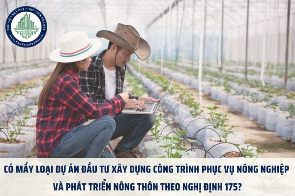 thuviennhadat.vn