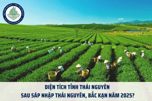 Diện tích tỉnh Thái Nguyên sau sáp nhập Thái Nguyên, Bắc Kạn năm 2025?