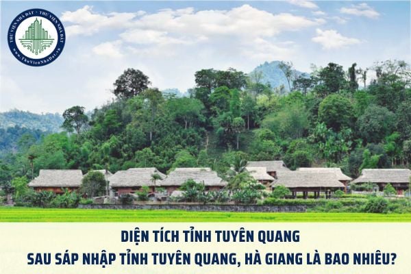 Diện tích tỉnh Tuyên Quang sau sáp nhập tỉnh Tuyên Quang, Hà Giang là bao nhiêu?