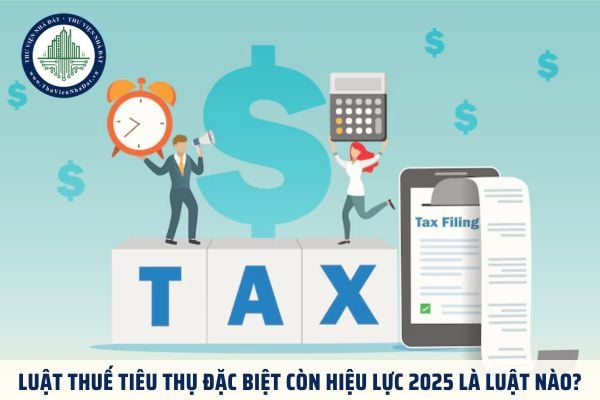 Luật Thuế tiêu thụ đặc biệt còn hiệu lực 2025 là luật nào?