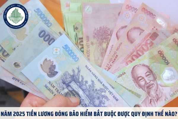 Năm 2025 tiền lương đóng bảo hiểm bắt buộc được quy định thế nào?