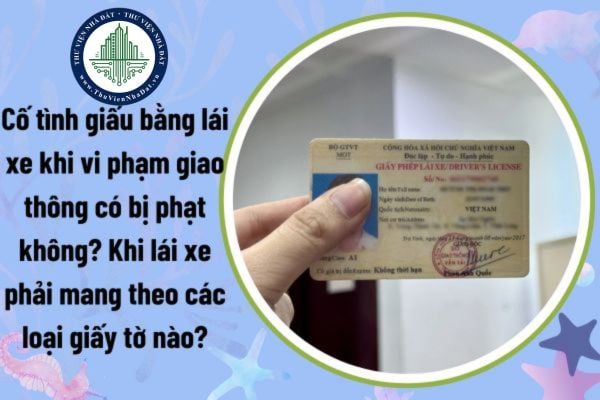 Cố tình giấu bằng lái xe khi vi phạm giao thông có bị phạt không? Khi lái xe phải mang theo các loại giấy tờ nào?
