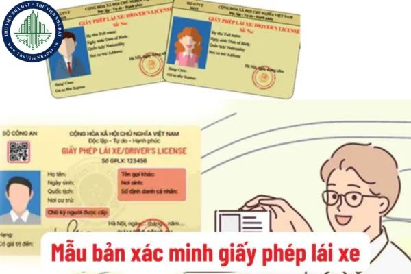 Tải mẫu bản xác minh giấy phép lái xe mới nhất hiện nay? Cách thức thực hiện xác minh giấy phép lái xe?