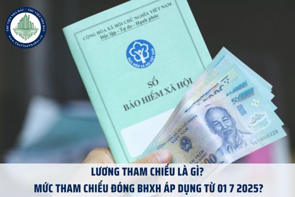 Lương tham chiếu là gì? Mức tham chiếu đóng BHXH áp dụng từ 01 7 2025?