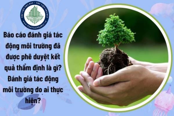 Báo cáo đánh giá tác động môi trường đã được phê duyệt kết quả thẩm định là gì? Đánh giá tác động môi trường do ai thực hiện?