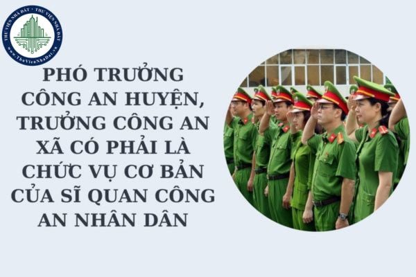 thuviennhadat.vn