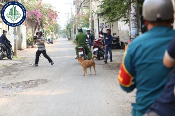 Người điều khiển phương tiện tham gia giao thông đường bộ bao gồm những ai? Phải làm gì khi có chó mèo đi trên đường?
