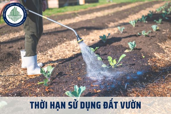 Thời hạn sử dụng đất vườn là bao nhiêu năm theo quy định hiện hành?