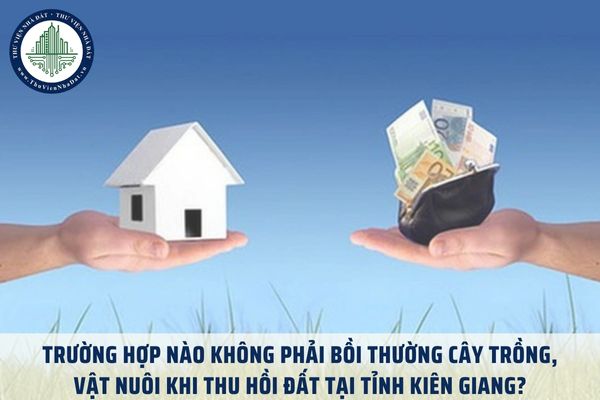 Trường hợp nào không phải bồi thường cây trồng, vật nuôi khi thu hồi đất tại tỉnh Kiên Giang?