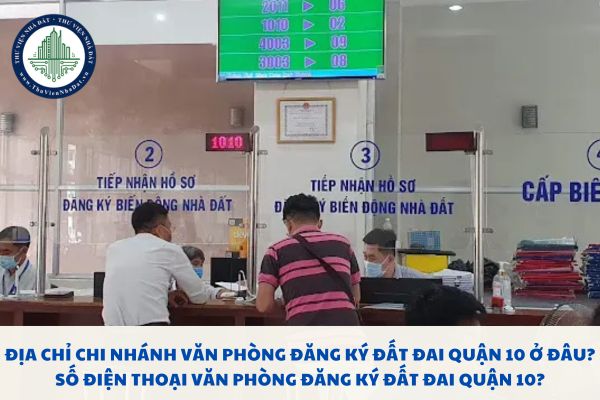 Địa chỉ Chi nhánh Văn phòng đăng ký đất đai Quận 10 ở đâu? Số điện thoại Văn phòng đăng ký đất đai Quận 10?