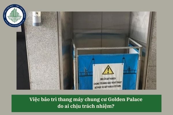 Việc bảo trì thang máy chung cư Golden Palace do ai chịu trách nhiệm? 