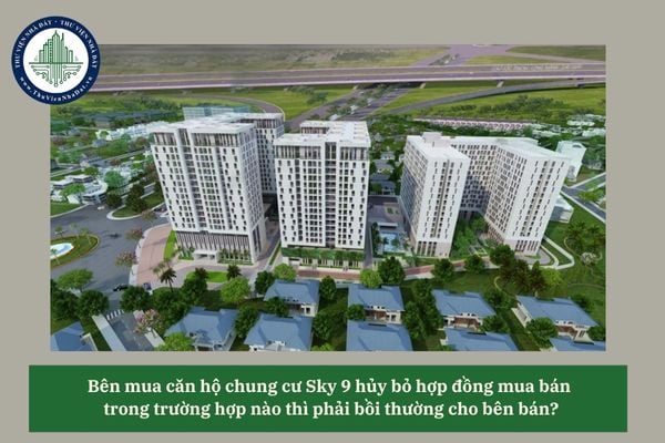Bên mua căn hộ chung cư Sky 9 hủy bỏ hợp đồng mua bán trong trường hợp nào thì phải bồi thường cho bên bán? 