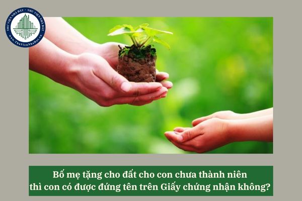 Bố mẹ tặng cho đất cho con chưa thành niên thì con có được đứng tên trên Giấy chứng nhận không?