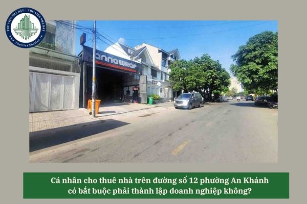 Cá nhân cho thuê nhà trên đường số 12 phường An Khánh có bắt buộc phải thành lập doanh nghiệp không? 