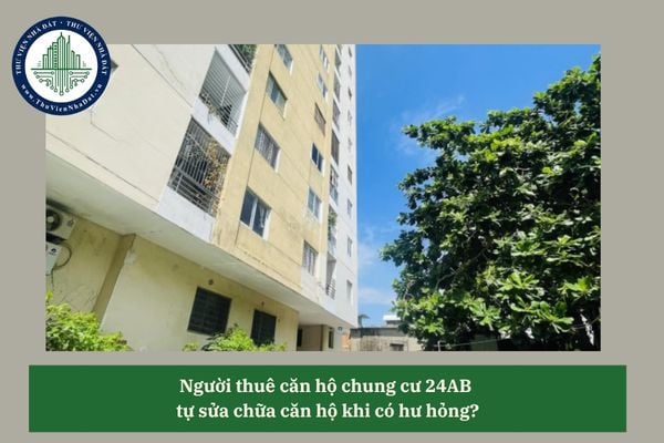 Người thuê căn hộ chung cư 24AB  tự sửa chữa căn hộ khi có hư hỏng?
