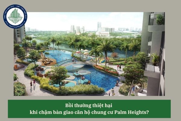 Bồi thường thiệt hại  khi chậm bàn giao căn hộ chung cư Palm Heights?