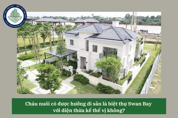 Cháu nuôi có được hưởng di sản là biệt thự Swan Bay với diện thừa kế thế vị không? 