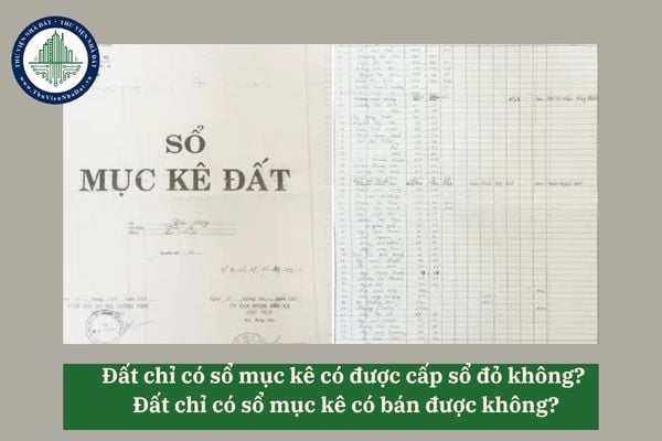 Đất chỉ có sổ mục kê có được cấp sổ đỏ không? Đất chỉ có sổ mục kê có bán được không?