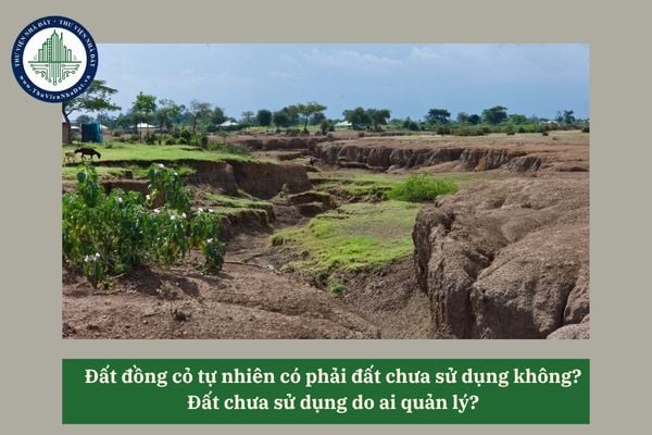 Đất đồng cỏ tự nhiên có phải đất chưa sử dụng không? Đất chưa sử dụng do ai quản lý? 