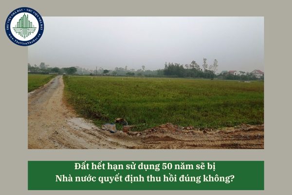 thuviennhadat.vn