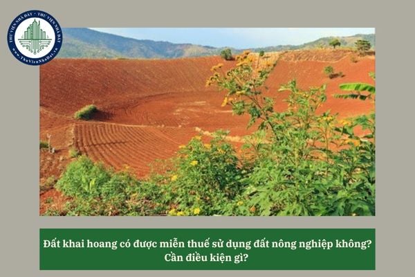 Đất khai hoang có được miễn thuế sử dụng đất nông nghiệp không? Cần điều kiện gì? 