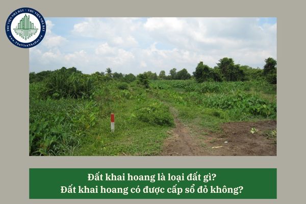 Đất khai hoang là loại đất gì? Đất khai hoang có được cấp sổ đỏ không? 