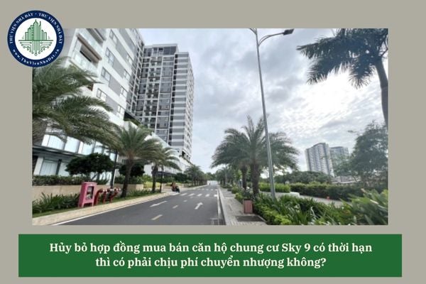 Hủy bỏ hợp đồng mua bán căn hộ chung cư Sky 9 có thời hạn thì có phải chịu phí chuyển nhượng không? 