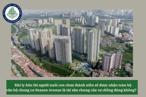 Khi ly hôn thì người nuôi con chưa thành niên sẽ được nhận toàn bộ căn hộ chung cư Season Avenue là tài sản chung của vợ chồng đúng không? 