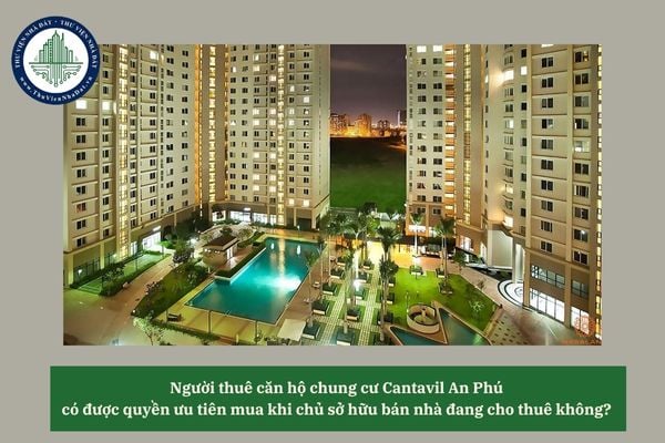 Người thuê căn hộ chung cư Cantavil An Phú có được quyền ưu tiên mua khi chủ sở hữu bán nhà đang cho thuê không? 