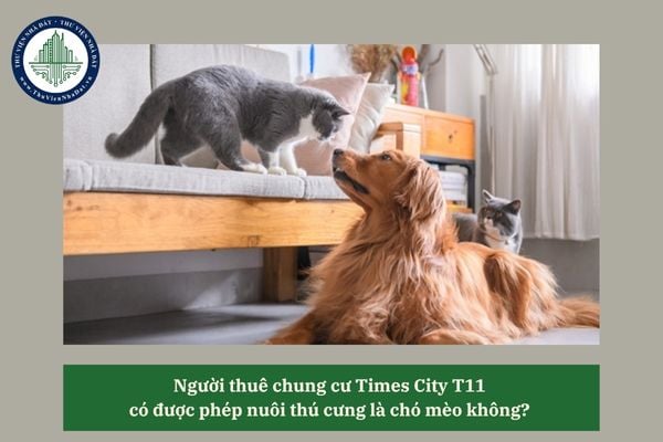 Người thuê chung cư Times City T11 có được phép nuôi thú cưng là chó mèo không? 