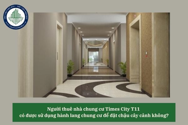 Người thuê nhà chung cư Times City T11 có được sử dụng hành lang chung cư để đặt chậu cây cảnh không? 