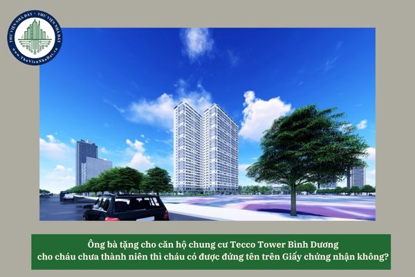 Ông bà tặng cho căn hộ chung cư Tecco Tower Bình Dương cho cháu chưa thành niên thì con có được đứng tên trên Giấy chứng nhận không? 