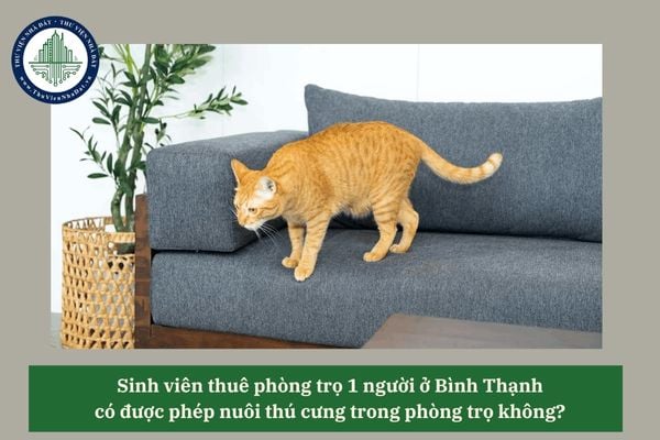 Sinh viên thuê phòng trọ 1 người ở Bình Thạnh có được phép nuôi thú cưng trong phòng trọ không? 