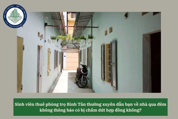 Sinh viên thuê phòng trọ Bình Tân thường xuyên dẫn bạn về nhà qua đêm không thông báo có bị chấm dứt hợp đồng không? 